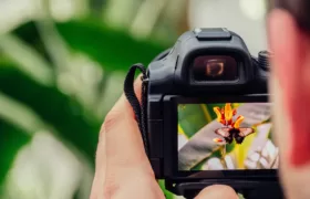 Kickstart Your Journey Of Photography On Instagram